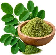 Moringa leaf powder in {{OFFER_NAME}}